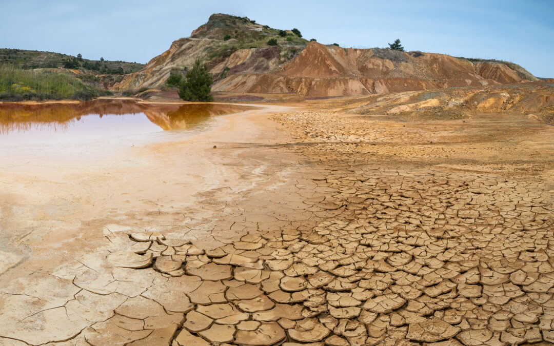 Green walls and straw checkerboards: Global efforts towards reversing desertification