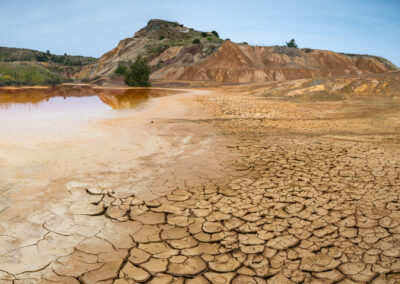 Green walls and straw checkerboards: Global efforts towards reversing desertification
