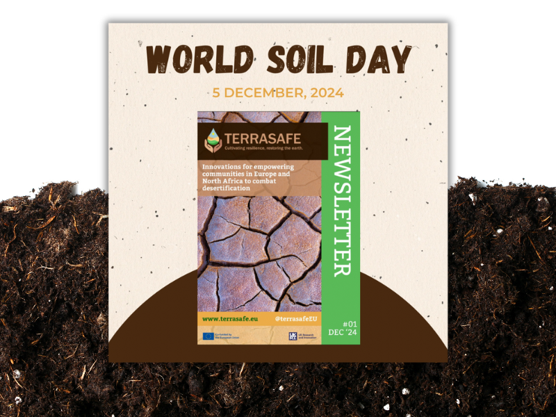 TERRASAFE celebrates World Soil Day by launching our first newsletter!