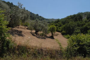 SETA 3