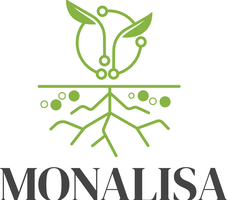 MONALISA: Our sister project