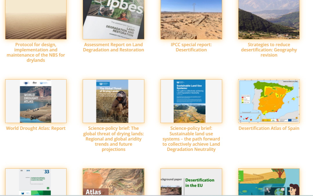 Desertification Learning Hub launched by TERRASAFE