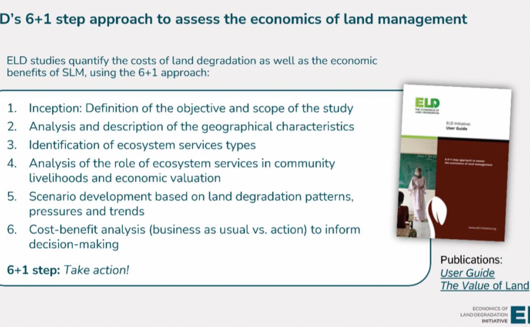ELD User Guide: A 6+1 step approach to assess the economics of land management