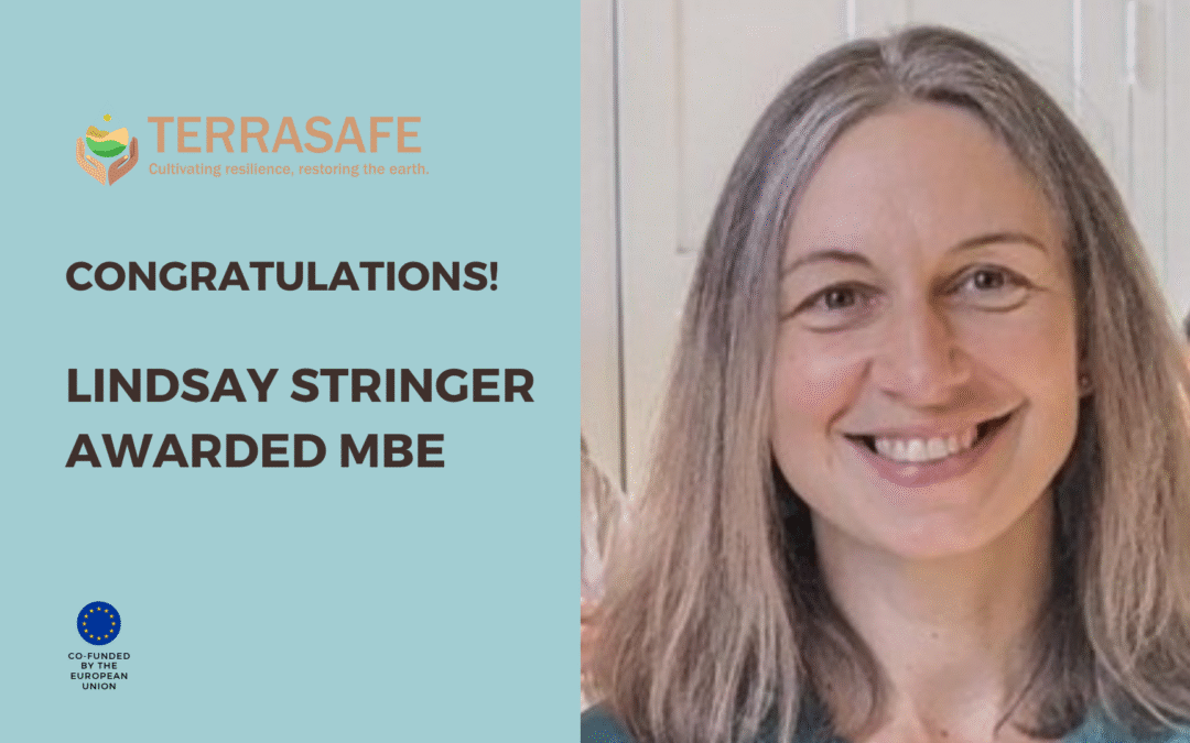 TERRASAFE scientist, Lindsay Stringer, awarded MBE for outstanding achievements in environmental development