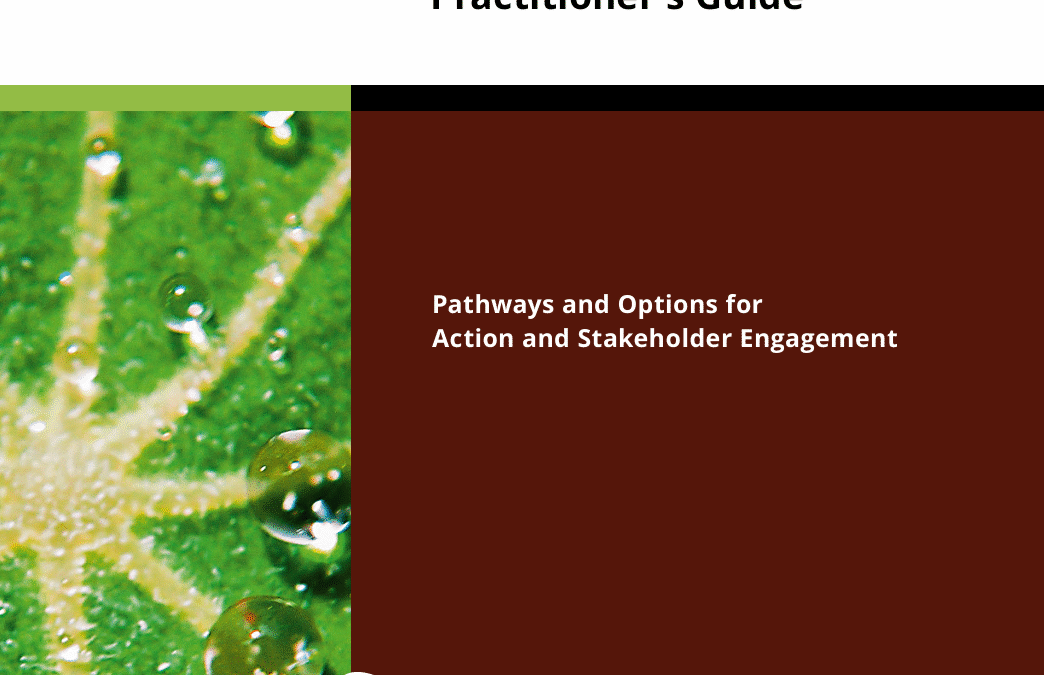 ELD Practitioner’s Guide: Pathways and Options for Action and Stakeholder Engagement