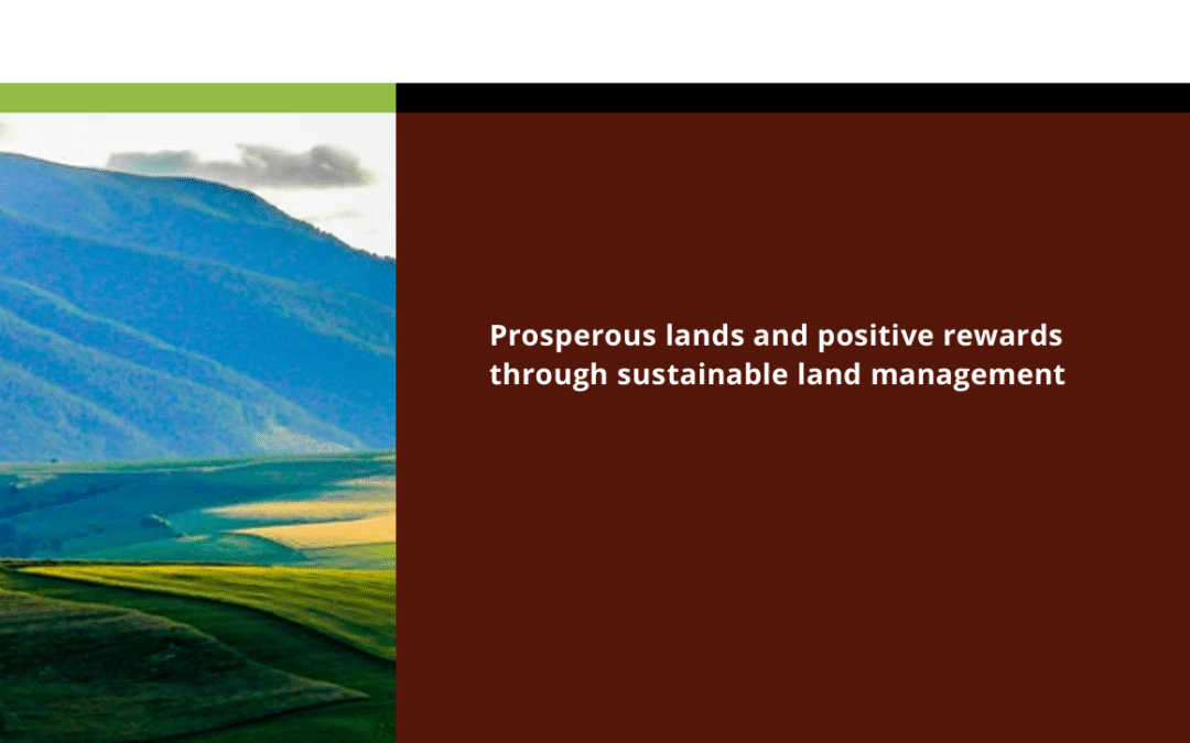 The Value of Land