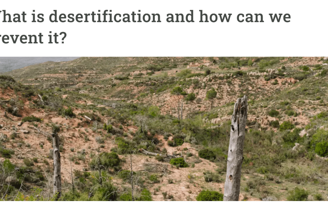 What is desertification and how can we prevent it?