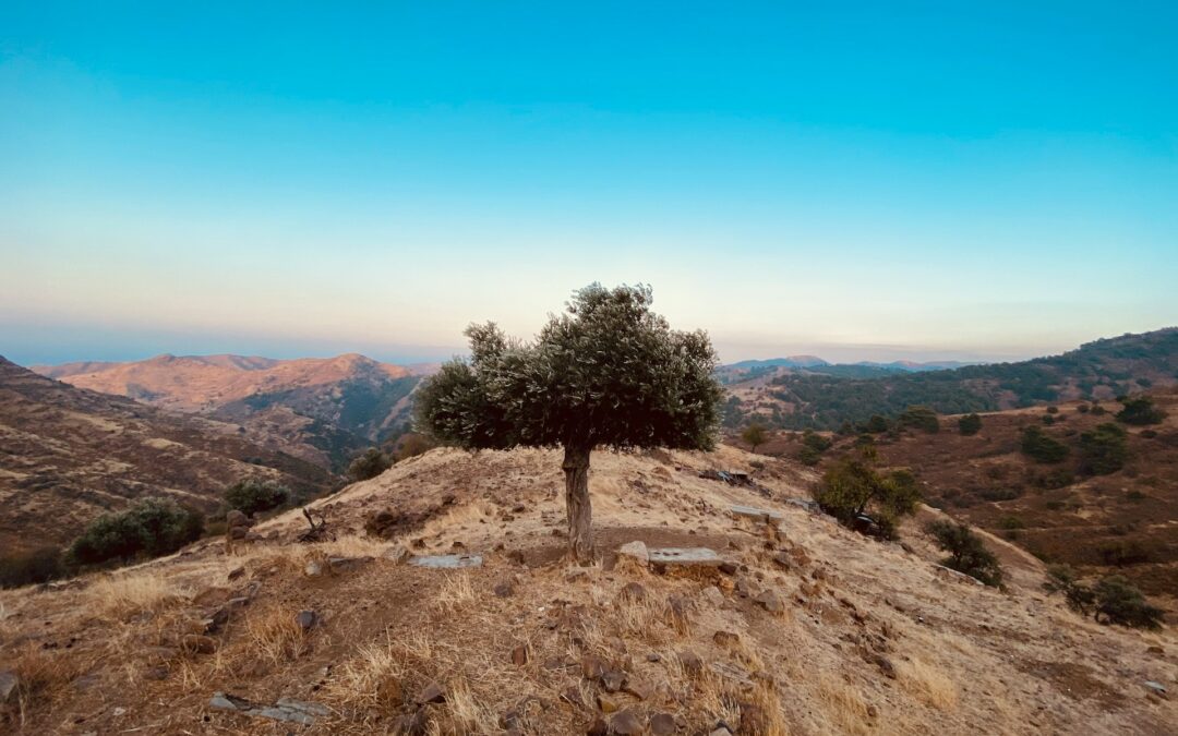 “Cyprus can’t afford to forget what water scarcity feels like”