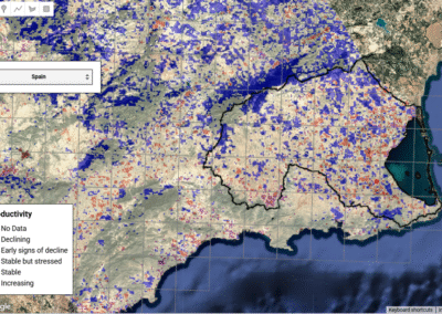 Beyond the green: land productivity as a window into desertification