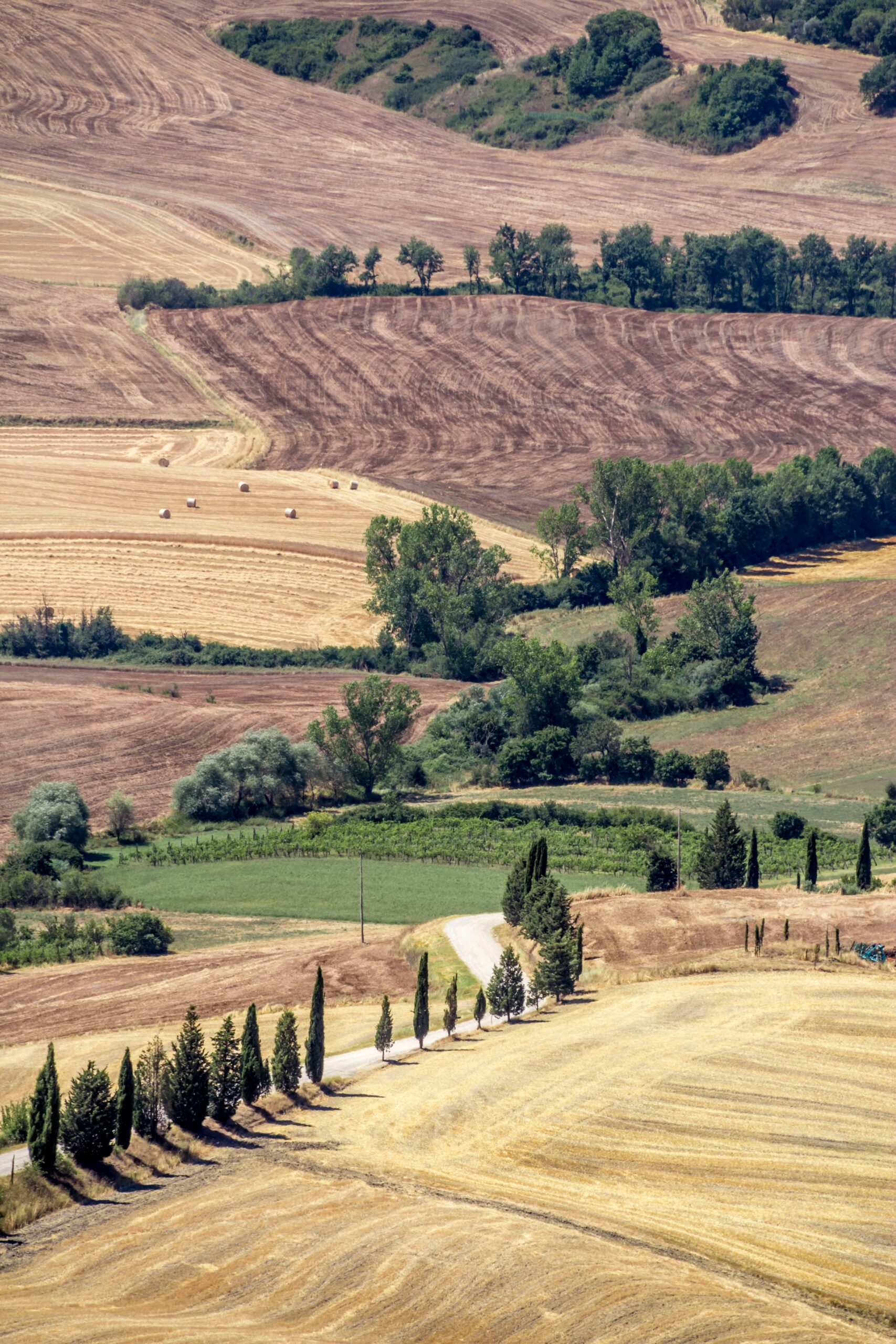 Aeria photo of Italian farm