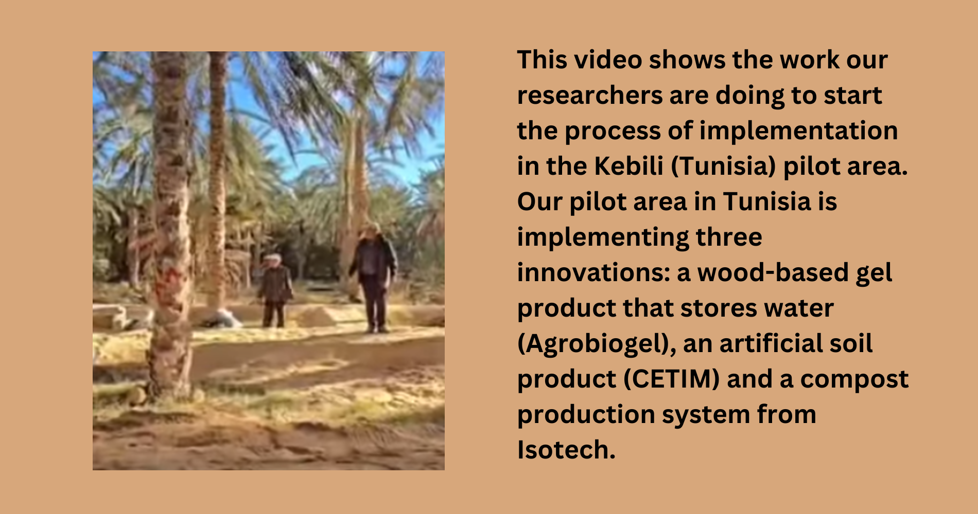 Two people in an oasis in Tunisia