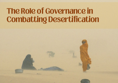 The Role of Governance in Combatting Desertification