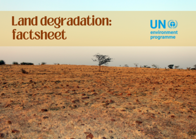 Land degradation: factsheet