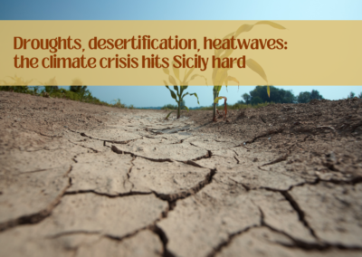 Droughts, desertification, heatwaves: the climate crisis hits Sicily hard