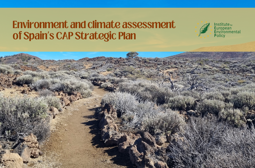 Environment and climate assessment of Spain’s CAP Strategic Plan