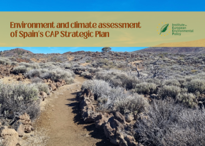 Environment and climate assessment of Spain’s CAP Strategic Plan